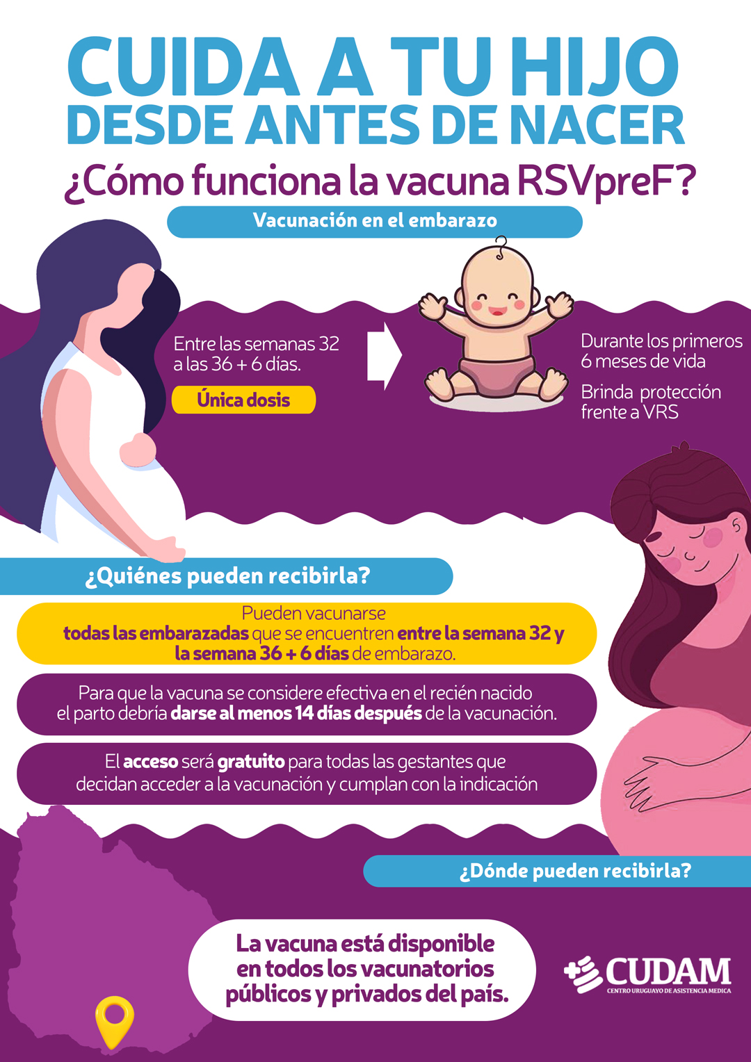 vacunas-embarazo_22052025_3